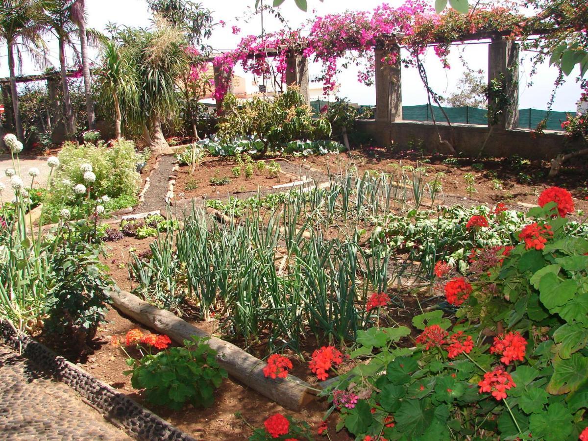 Апартаменты Quinta Do Bom Sucesso Фуншал Экстерьер фото