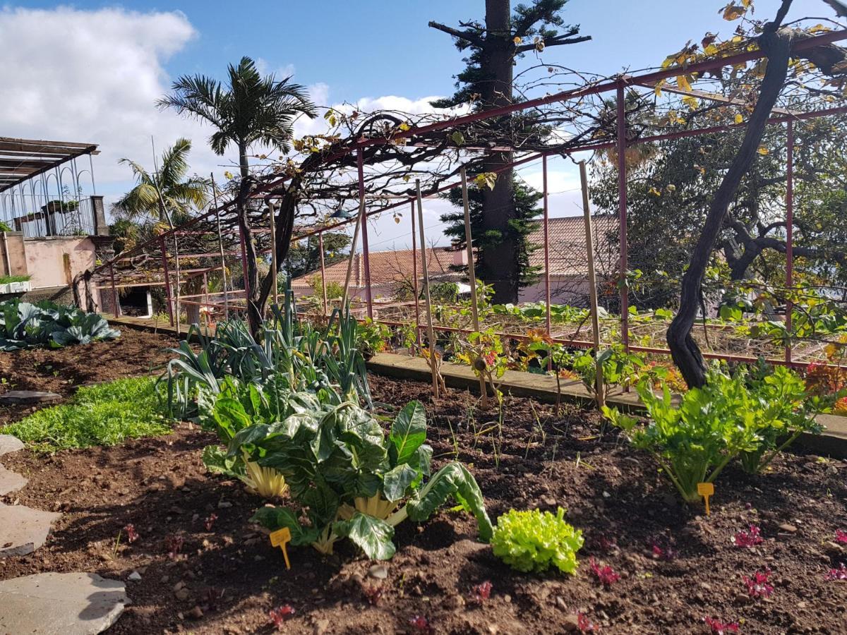 Апартаменты Quinta Do Bom Sucesso Фуншал Экстерьер фото